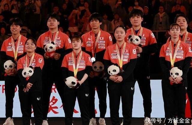 九游体育官网-今晨成都蓉城调整名单以备葡超；手感冰凉环节打磨；球迷炸锅；医务组通报恢复(2024葡超积分榜)