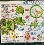九游体育-包含?H7=A瑦&amp;€檦$褊/?帑uP碝皏Wf蚕╳?€θ贃	,D緐9琽`的词条